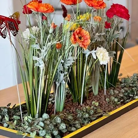 Akena Strasbourg - 3* Hoerdt